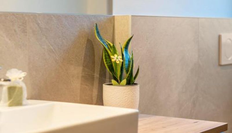 Info - Mittnackerhof Apartment Ringelblume
