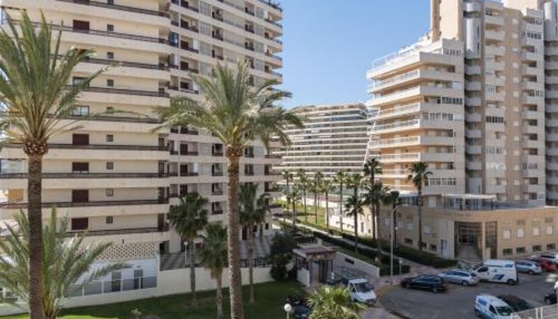 Appartamento - 3-C Florazar 3