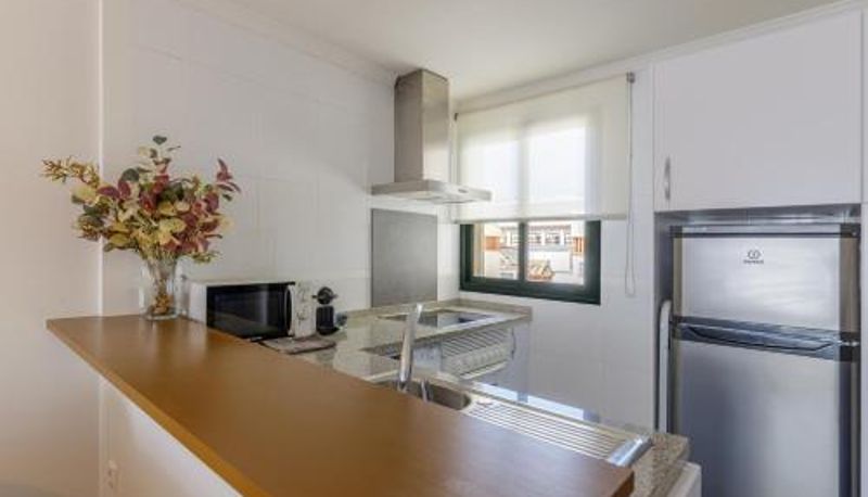 Apartment - Alameda XI Boutique Apartment by Caleta Homes