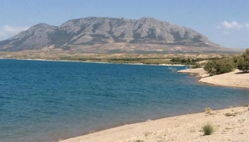 Daire - Homely Apartment in El Faro