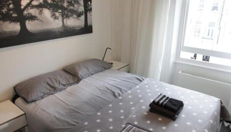 Información - Fantastic 1BD flat in the centre