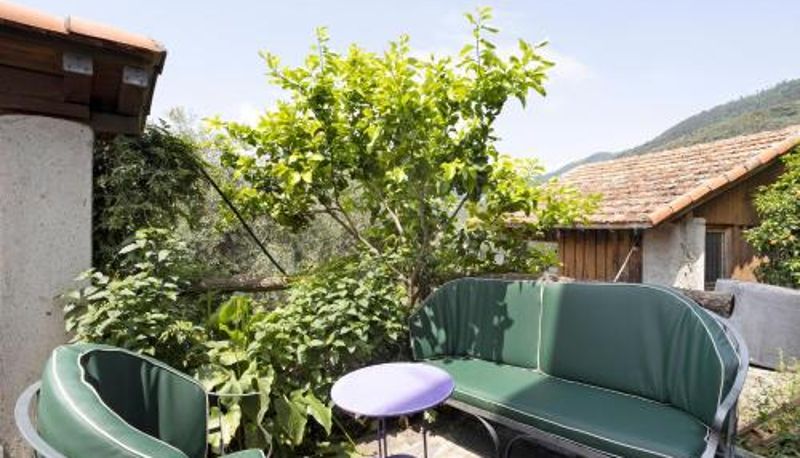 Apartament - Green Cactus House