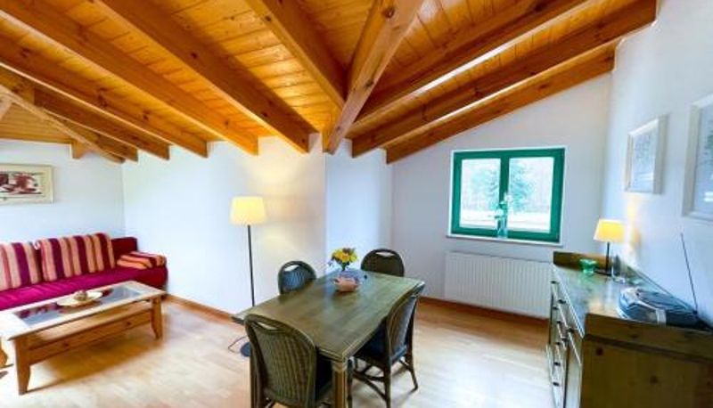 Apartment - Villa Perkunos Wohnung 16