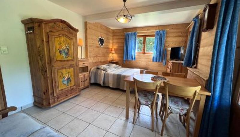 Info - PETIT LUTIN 1 - Studio dans chalet sur les pistes et proche centre - Parking