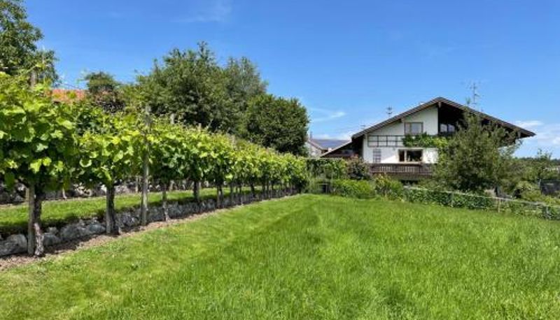 Bilgi - Apartment Am Weinberg