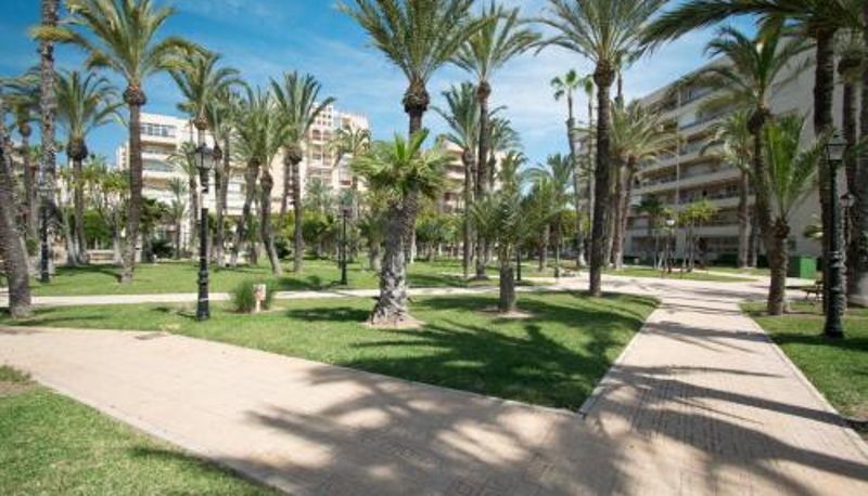 Appartement - 093 - Mil Palmeras Dream