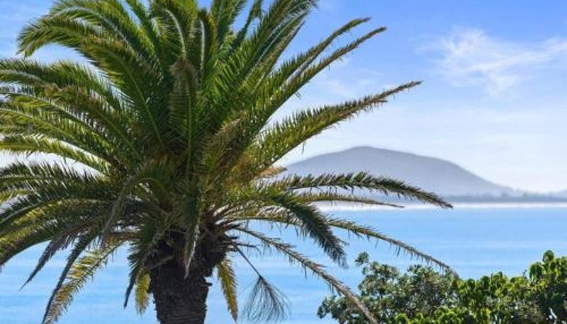 Apartment - 2 Bedroom Unit with Sea Views at Alexandra Headlands