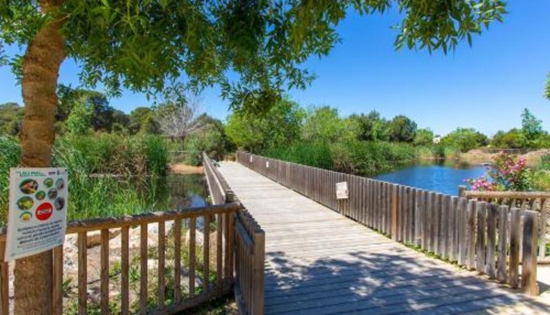 Bilgi - CH Aracena La Marquesa Golf (Ciudad Quesada)