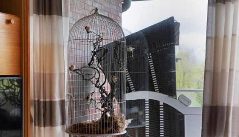 Standart oda - Apartment Seeadler