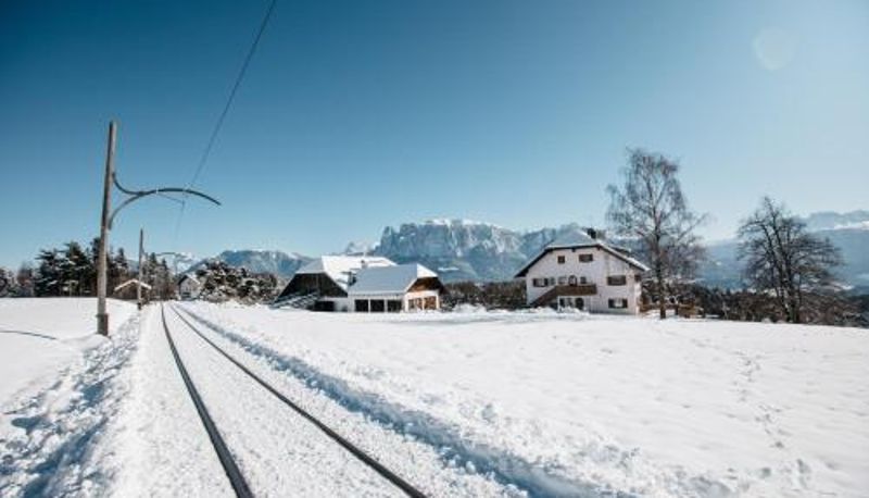 アパートメント - Alpin Farm Linde - Oberweidacherhof