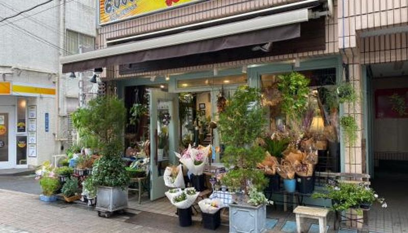 Standart oda - SHIBUYA TOKYO