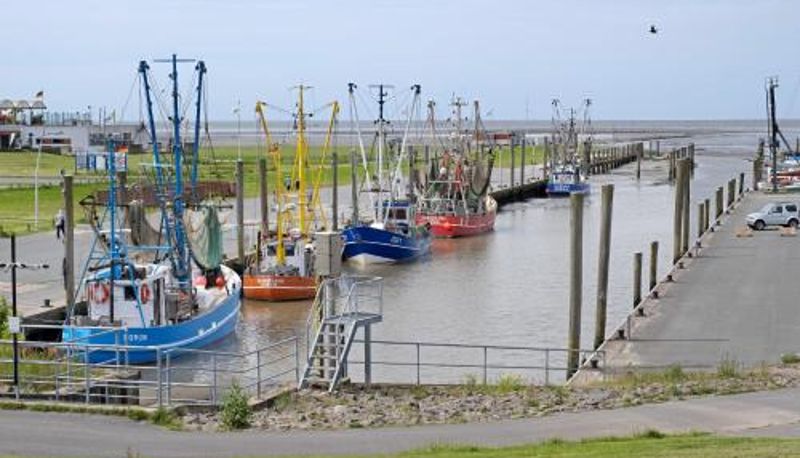 Standart oda - Ferienwohnung 12 im Haus Borkum