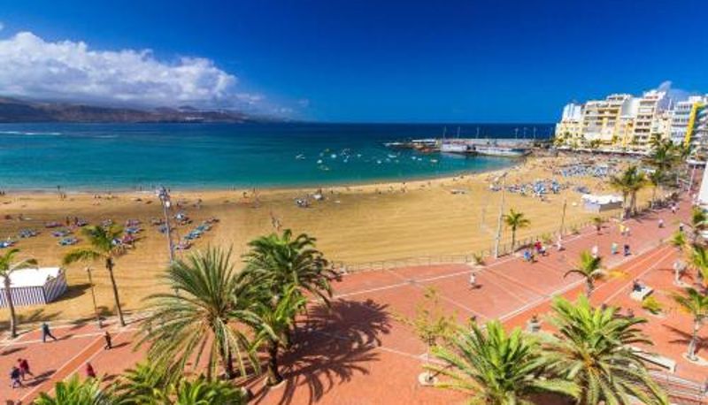 Daire - HomeForGuest Apartment next to Las Canteras with FREE Parking