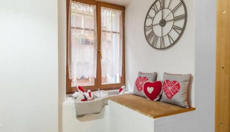 Info - quiet & heart of Colmar Travel Homes -The Cigogne