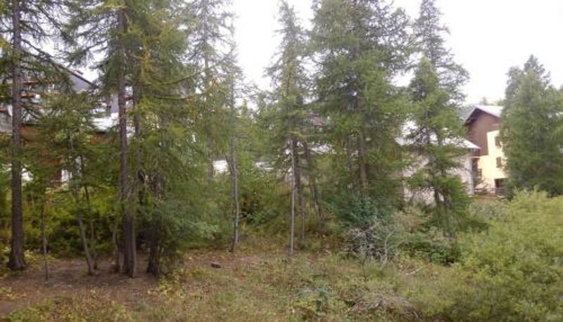 Standardrum - Risoul 1850  parking  4 pers Studio coin montagne calme