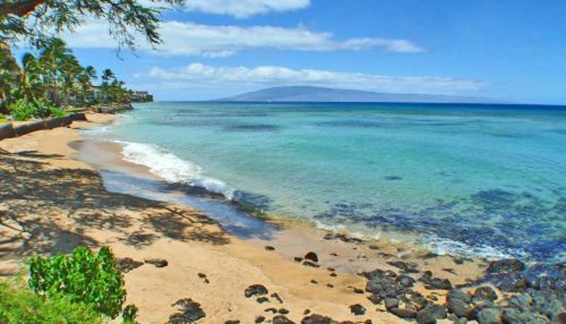 Standart oda - Kuleana #206