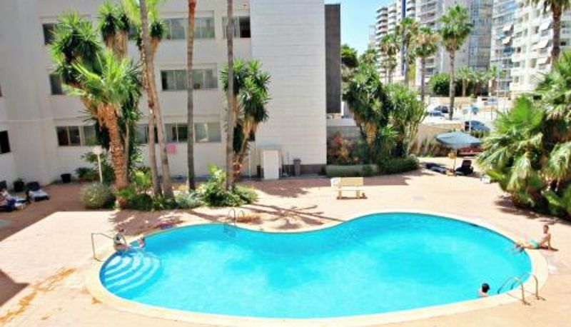 Bilgi - Xavier - oceanfront apartment with sea views in Calpe