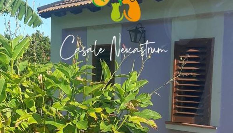 Extérieur de l'hôtel - Azienda Agricola Neocastrum