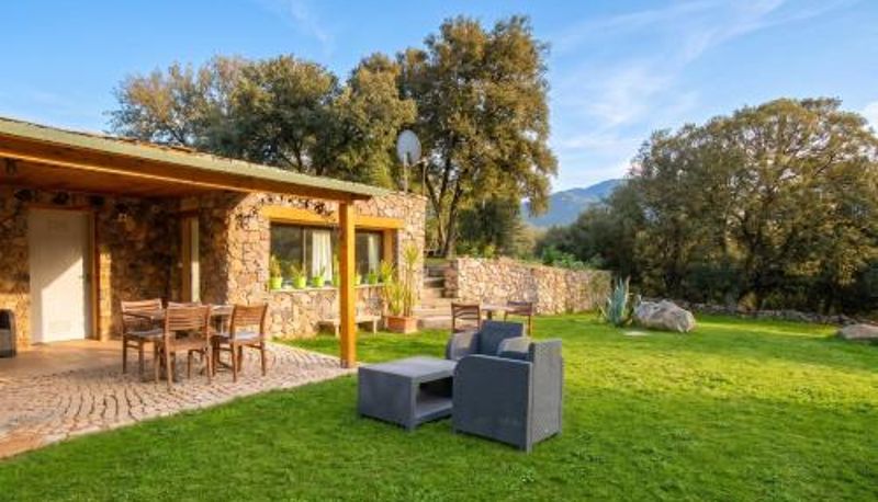 Bilgi - Studio accueillant à Moltifao 30 m² avec terrasse et jardin