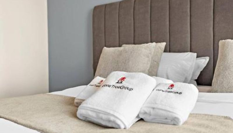 Camera standard - StoneTree - Modern 1BR with Amazing Building Facilities
