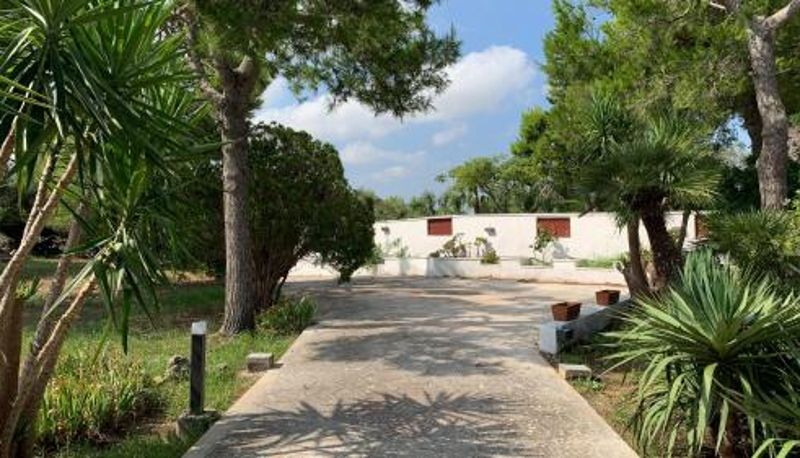 Apartment - A Casa di Alfredo appartamento in villa