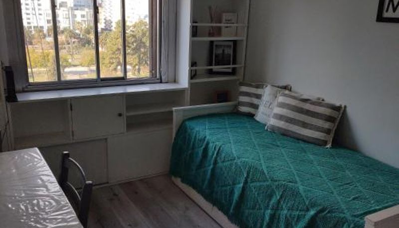 Zimmer - Departamento Del Plaza