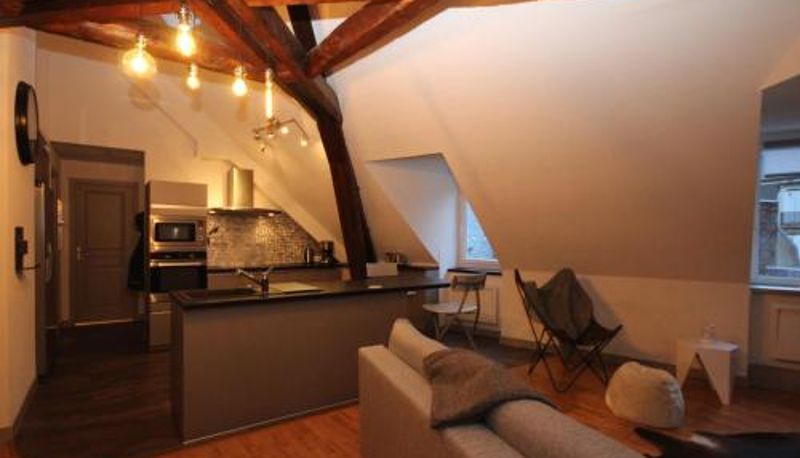 Standart oda - Mont-Dore: Beau T3 bis hyper centre avec wifi