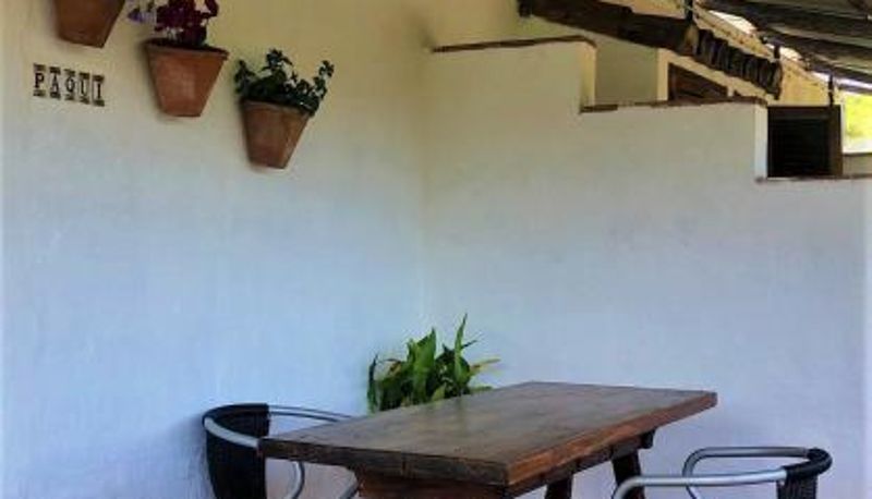 Taras - Finca La Rana Verde