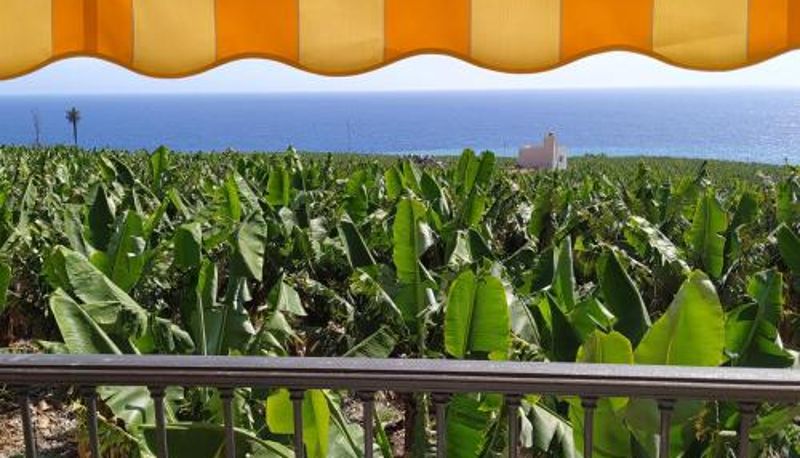 スタンダードルーム - Trbol Trail Mountain La Palma Vistas Al Mar