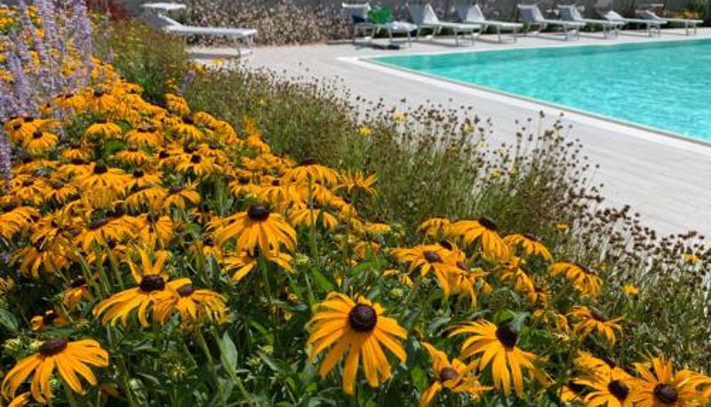 Piscina - Near Lake Garda and Center  Pool & Garden Homingarda Apartments