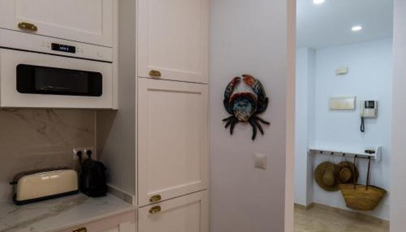 Info - Suitur Milenium apartamento Marbella playa Venus
