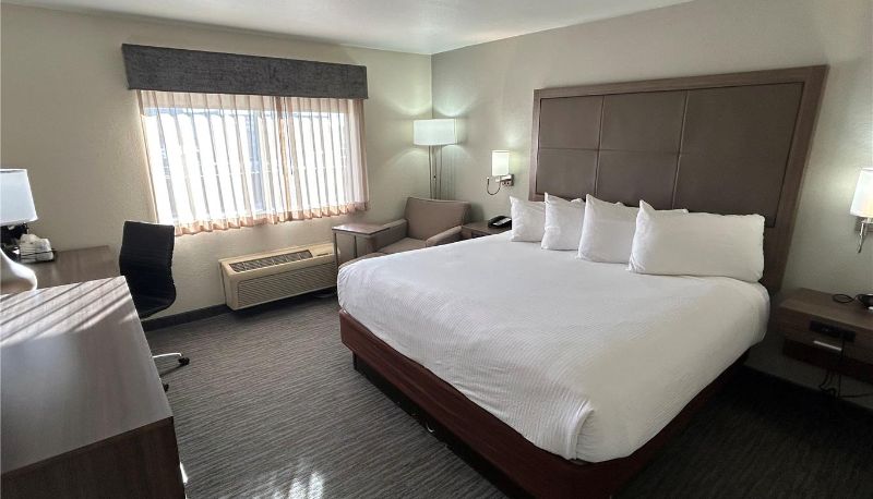 Habitación - Best Western Plus Paper Valley Hotel