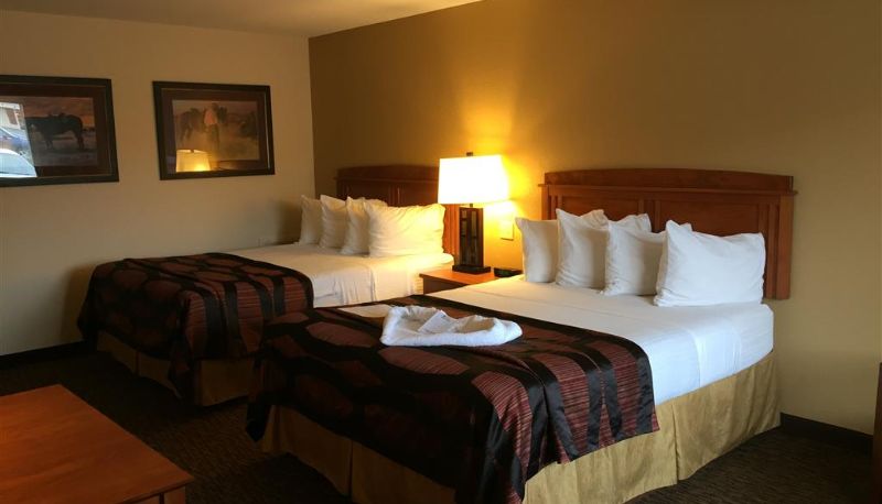 Zimmer - Best Western Plains Motel
