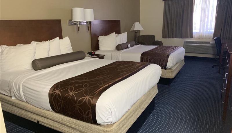 Zimmer - Best Western Desert Oasis