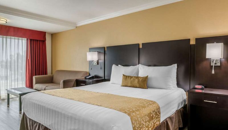 Chambre - Best Western Plus South Bay Hotel