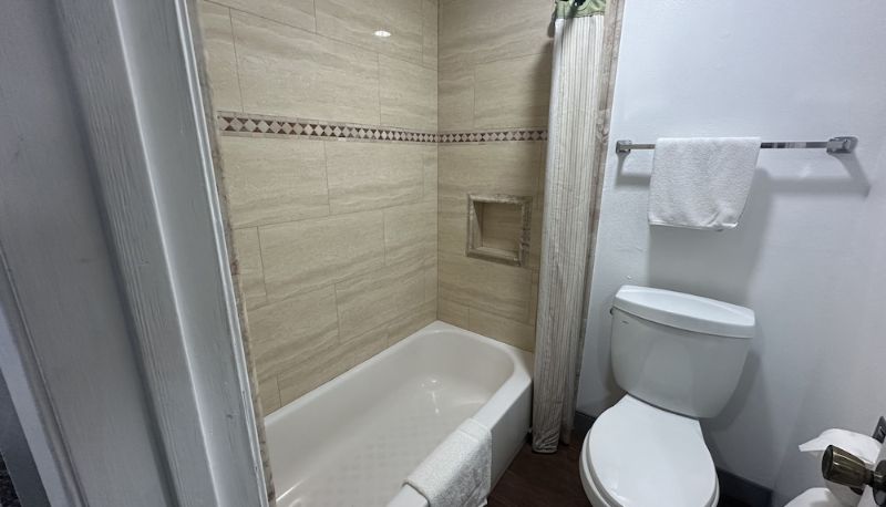 Standart oda - Palm Inn Hotel near Tyler Mall Riverside