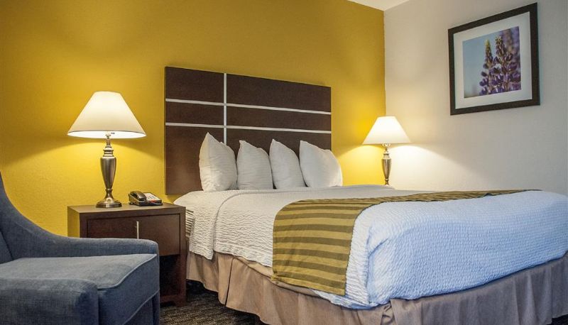 Camera - Best Western Village Inn