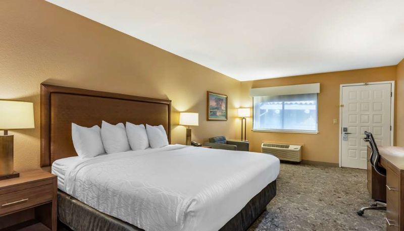 Camera - Best Western Plus Inn Scotts Valley