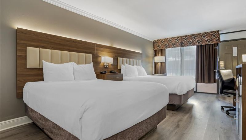 Zimmer - Best Western Plus Westbank