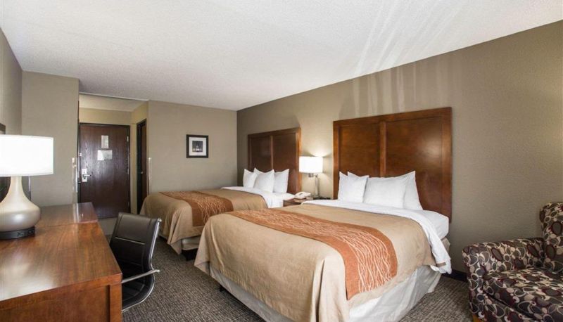 Kamer - Comfort Inn & Suites Hazelwood - St. Louis
