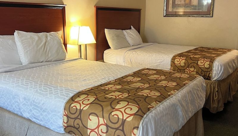 Standart oda - Red Rose Hotel