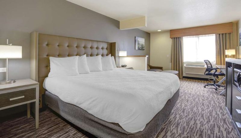Zimmer - Best Western Plus Peppertree Airport Inn