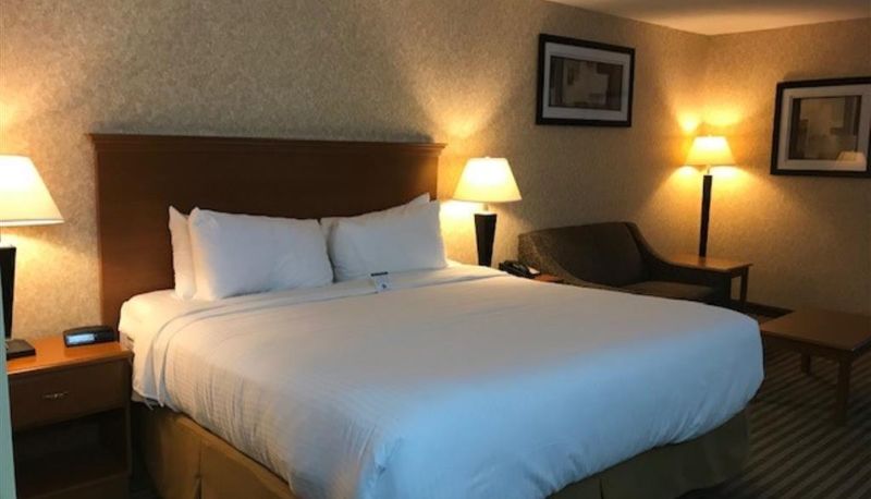 Habitación - Best Western Rama Inn