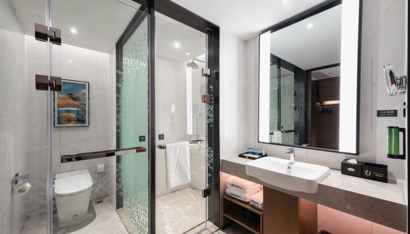 Zimmer - Hampton by Hilton Wuhan Guanggu First Road