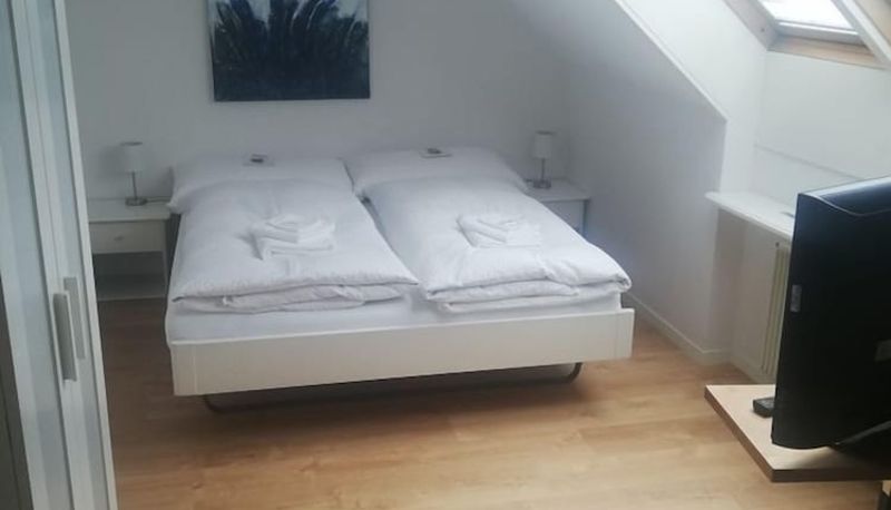 Pokój ekonomiczny (jednoosobowy) - Frohe Aussicht