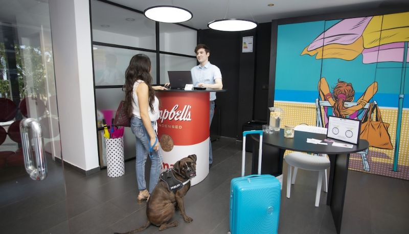 Recepcja - GDS - CASUAL POP ART BENIDORM