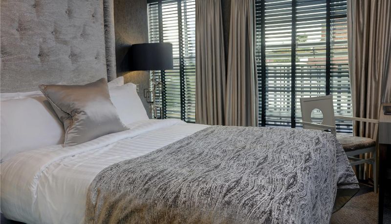 Zimmer - The Bold Hotel BW Signature Collection