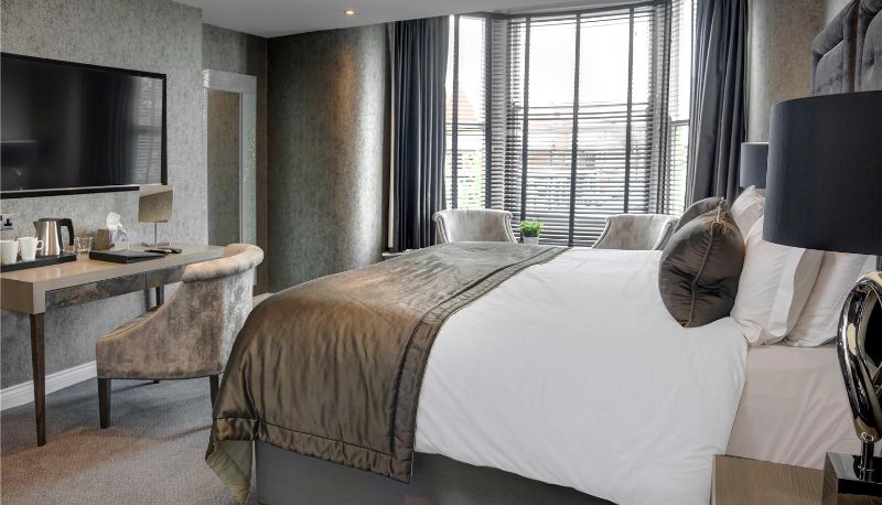 Zimmer - The Bold Hotel BW Signature Collection