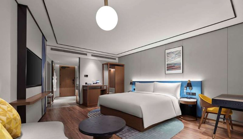 Camera - Hilton Garden Inn Lhasa