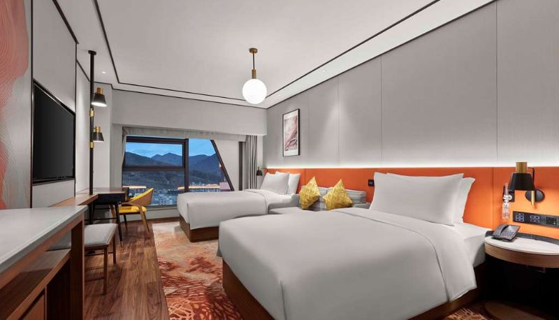 Camera - Hilton Garden Inn Lhasa
